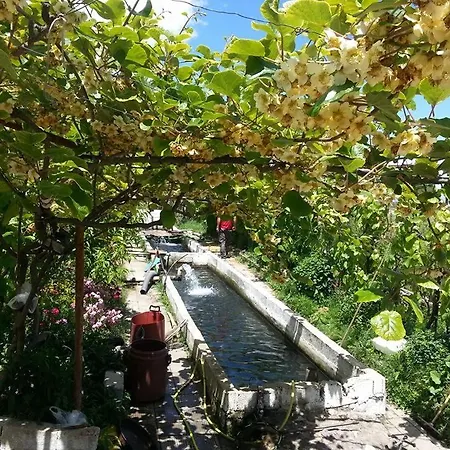 Bar Restorant Erjoni * بورغراديك