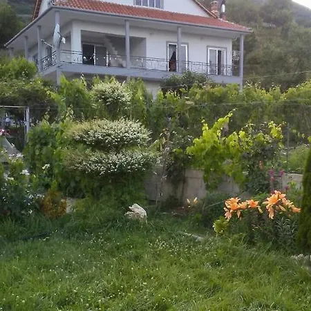 Bar Restorant Erjoni Pogradec